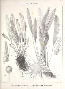 n116_w1150
