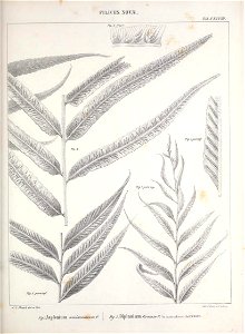 n132_w1150