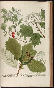 n897_w1150