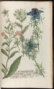 n959_w1150
