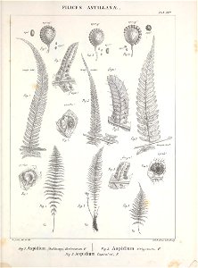 n368_w1150