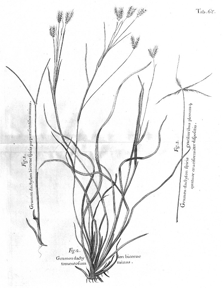n503_w1150