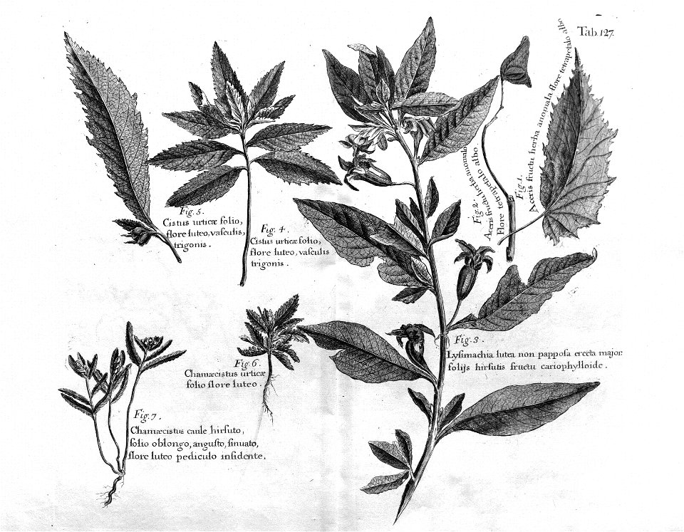n562_w1150
