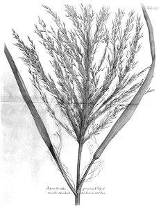 n502_w1150
