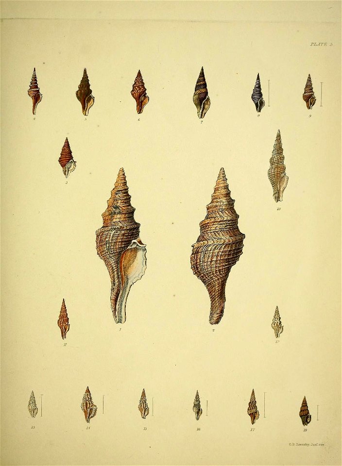 n104_w1150