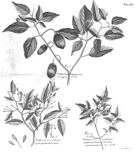 n581_w1150