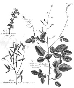 n551_w1150