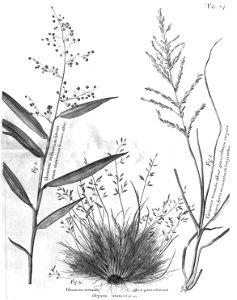 n506_w1150