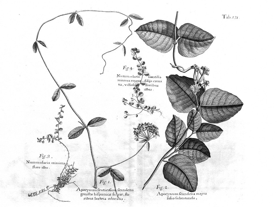 n566_w1150