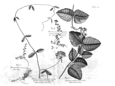 n566_w1150