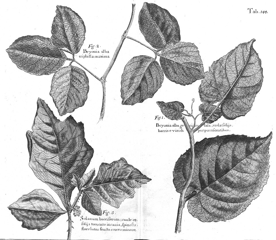 n579_w1150
