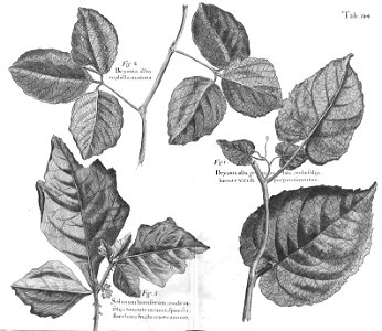 n579_w1150