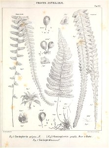 n354_w1150
