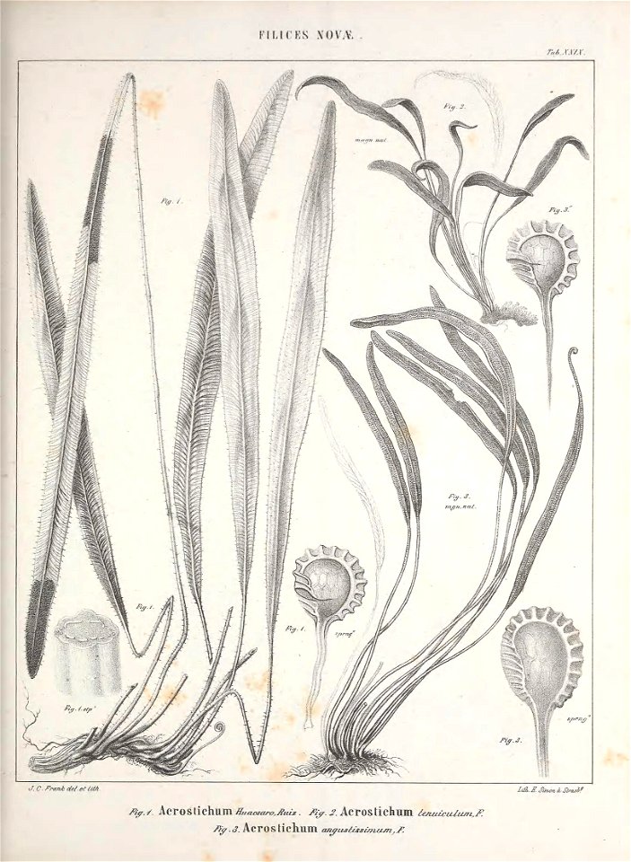 n114_w1150
