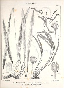 n114_w1150
