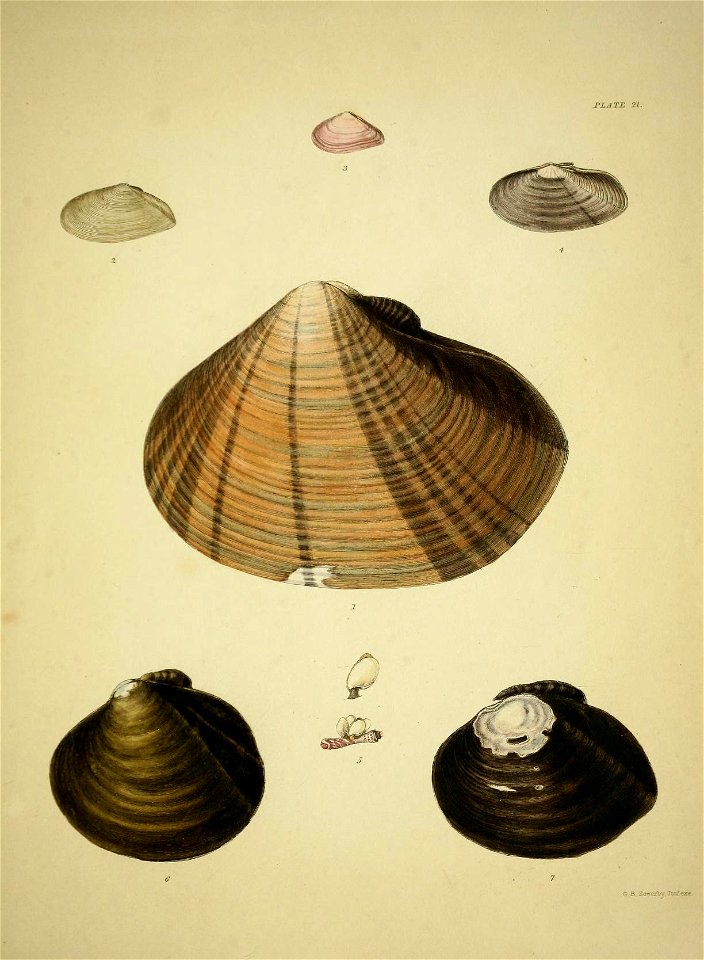 n166_w1150