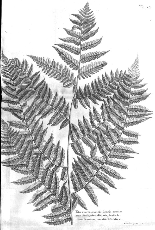 n491_w1150