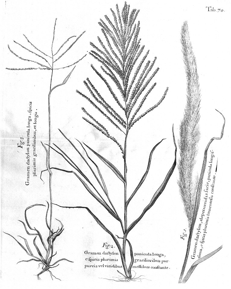 n505_w1150