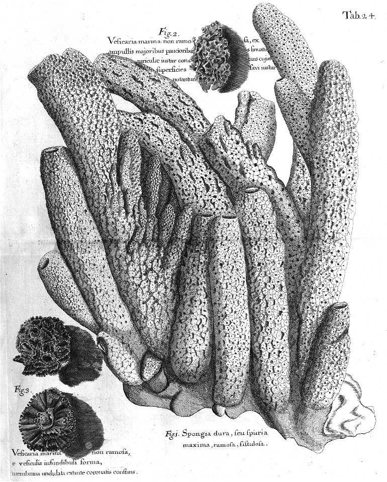 n459_w1150