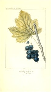 n192_w1150