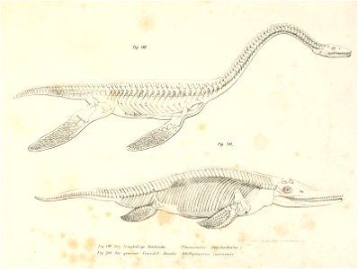 n234_w1150