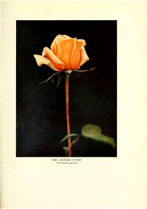 n454_w1150