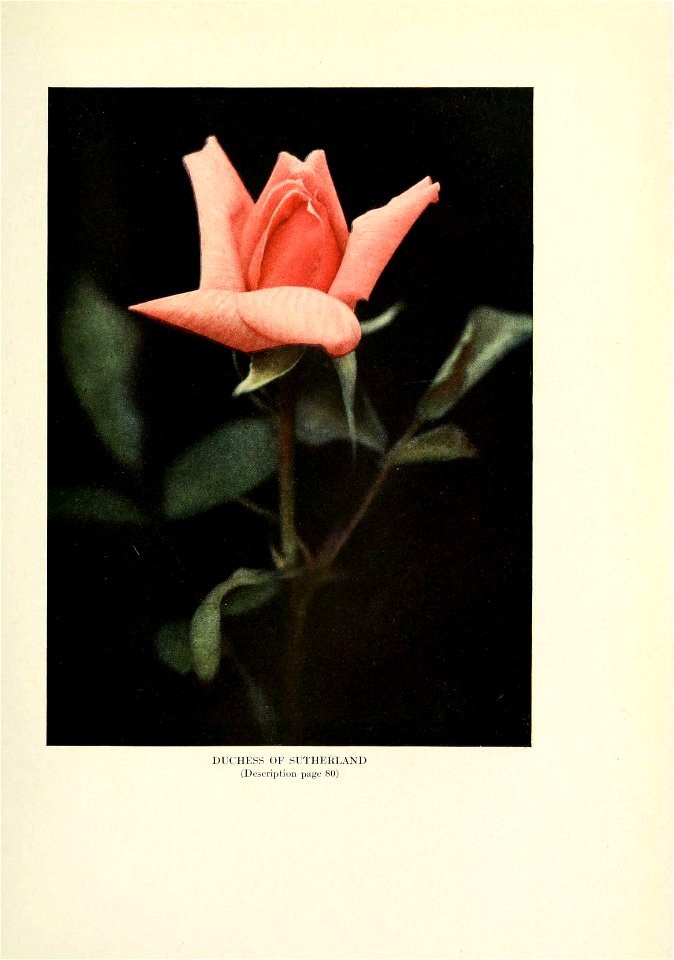 n394_w1150