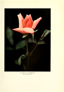 n394_w1150