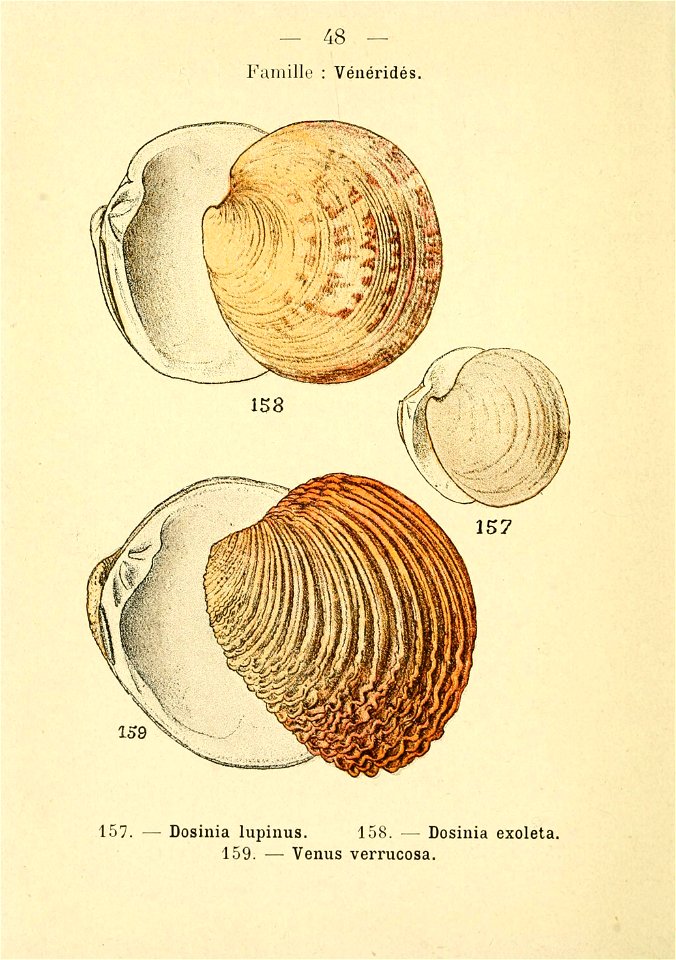 n105_w1150