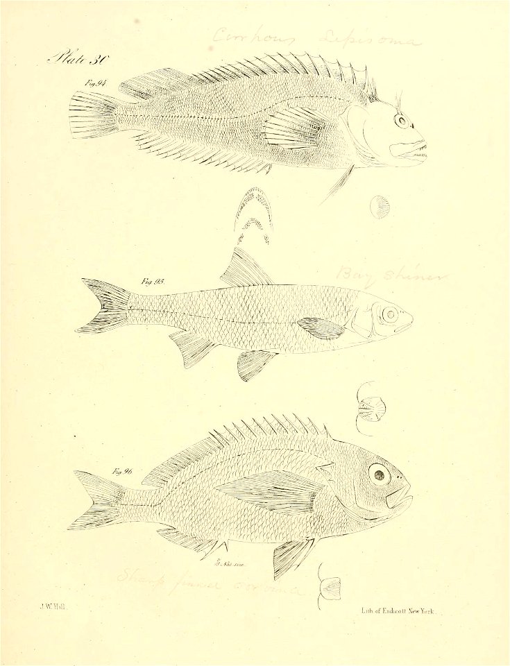 n120_w1150