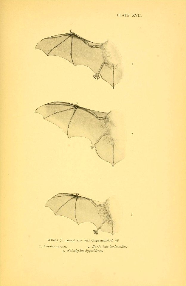 n302_w1150