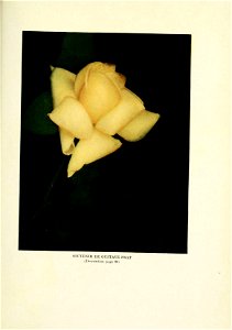 n464_w1150