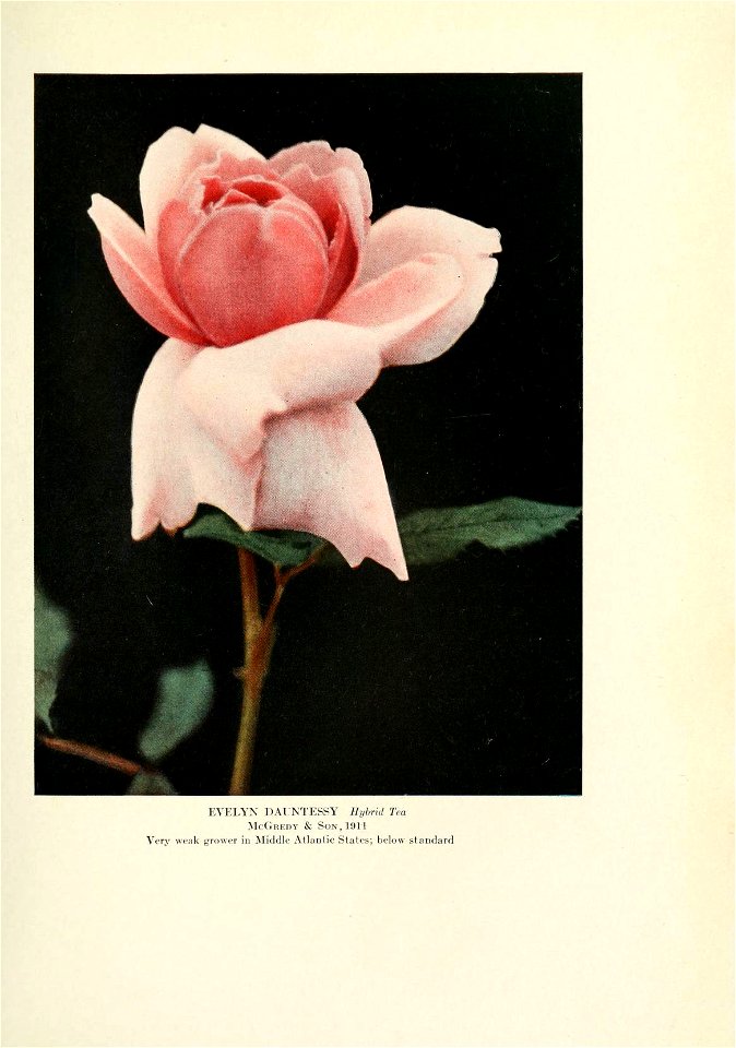 n404_w1150