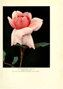 n404_w1150