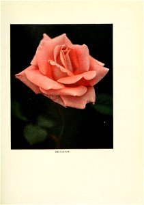 n118_w1150
