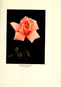 n460_w1150
