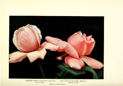 n430_w1150