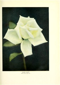 n428_w1150