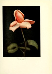 n398_w1150