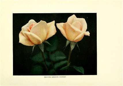 n158_w1150