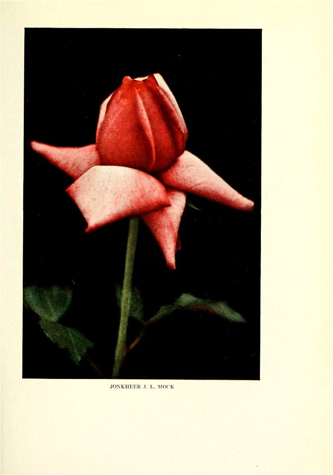 n112_w1150