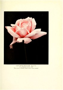 n426_w1150