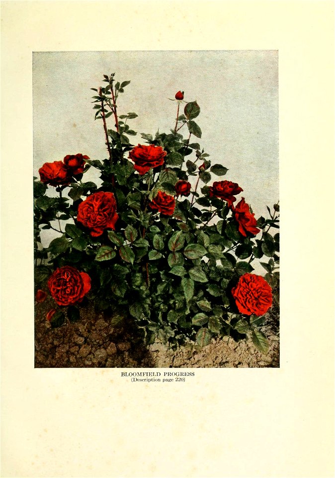 n362_w1150