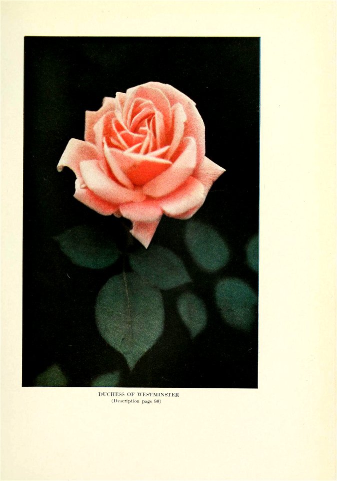 n396_w1150