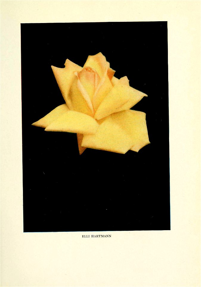 n154_w1150