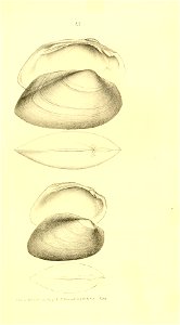 n140_w1150