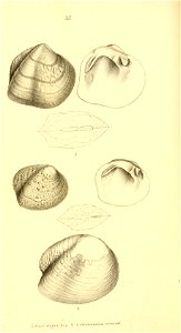 n195_w1150