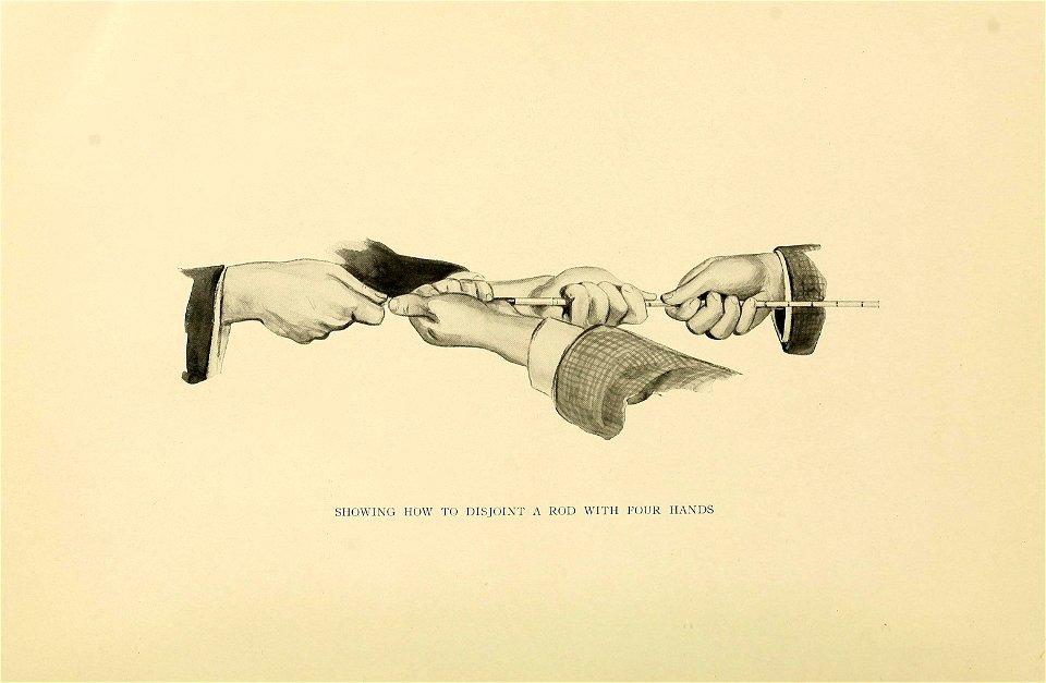 n317_w1150