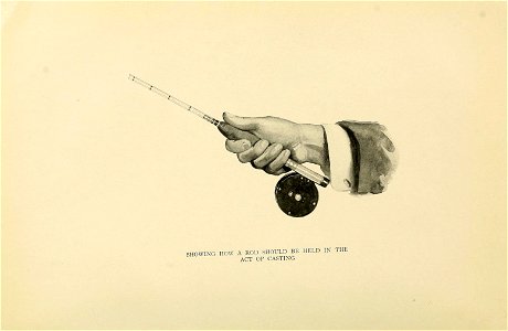 n133_w1150
