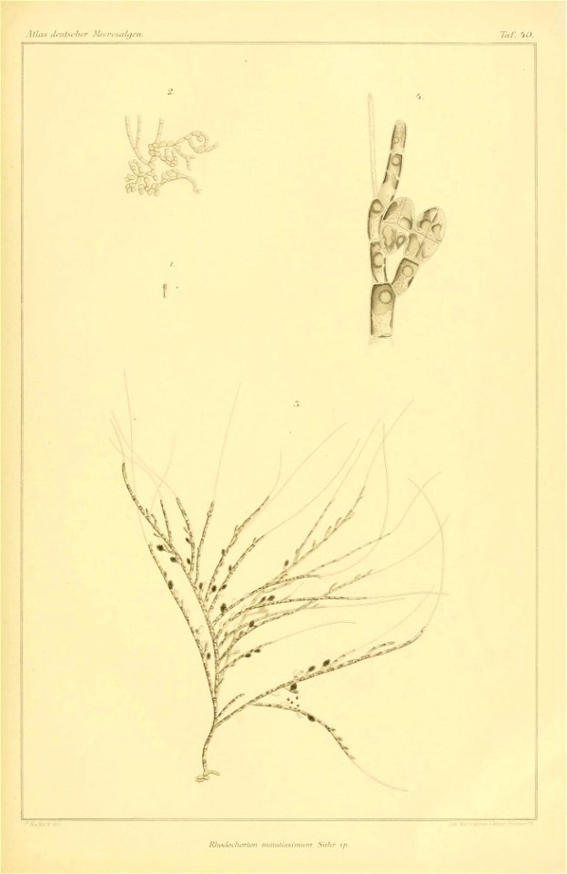 n160_w1150